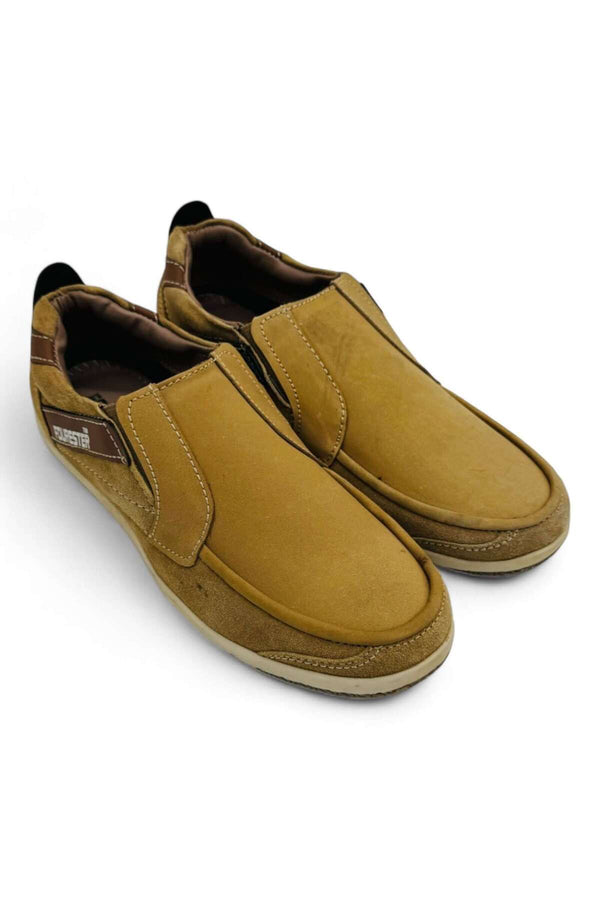 Camel