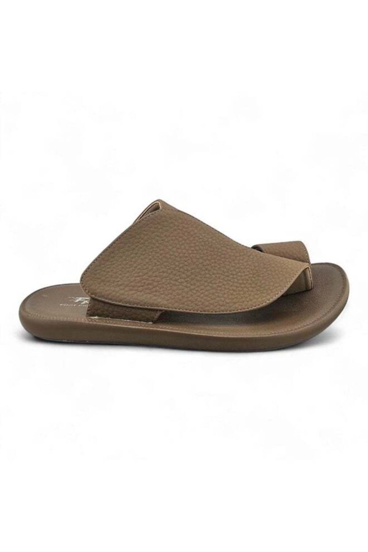 Light Brown الصورة الرئيسية
